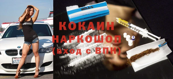 гидра Козловка